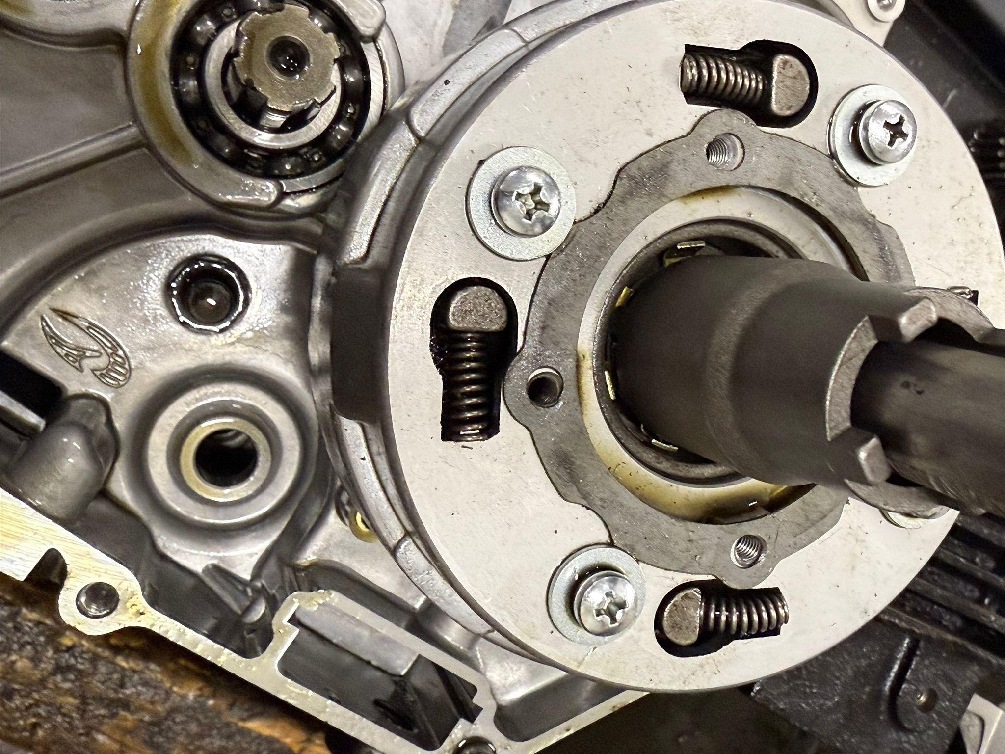 WhatsApp Image 2026-01-17 at 20.39.39 (2)